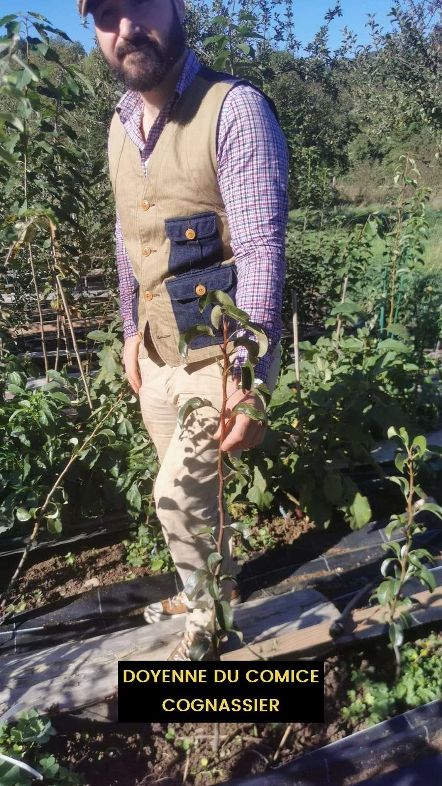 Poirier d'Automne DOYENNÉ DU COMICE – Image 2