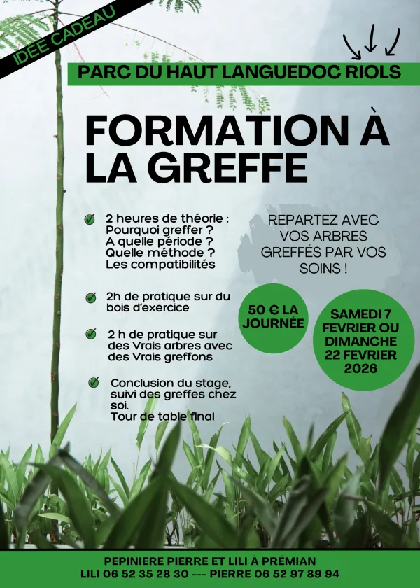 1 Formation à la greffe