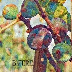 Bifère